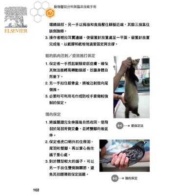 《書》動物醫院分科與臨床技術手冊8