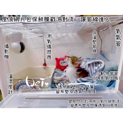 DIY改造用 寵物氧氣房透明軟塑膠布2