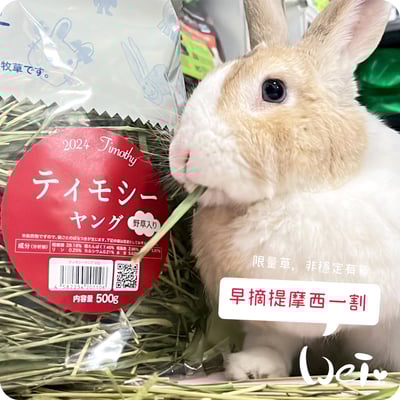 WOOLY高原的早摘提摩西一割(本次貨櫃未到)5