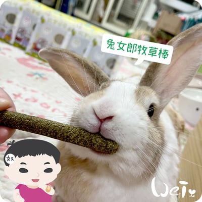 兔女郎點心吧 果園草牧草棒棒2