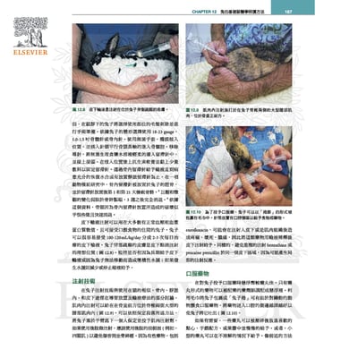 《書》貂、兔與囓齒類動物：臨床內外科，第四版(現貨)6