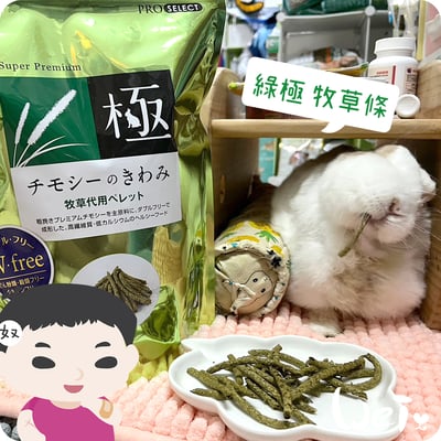 日本 HI-PET 綠極牧草條 (KIWAMI 極)4