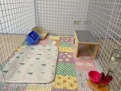 兔子私房住宿 - Cony和嘟嘟家 (新竹)9