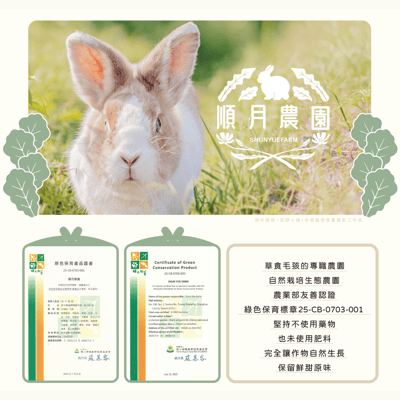 順月農園 蘿蔓萵苣/羅馬生菜 (乾燥脆脆菜)7