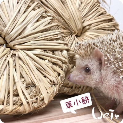 台灣草大餅/草小餅 (嘉義農夫純手工編織)12