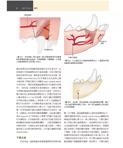《書》犬貓口腔與上頜顏面外科，第二版11