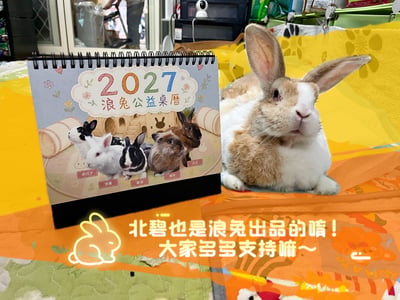 【健康養兔兔 x 2027 浪兔公益桌曆】+桌曆含限定版兔小浪造型icash (台灣流浪兔保護協會)1