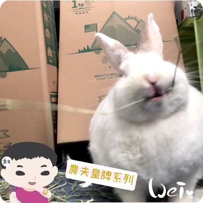 摩米MOMI 農夫皇牌 T2 二割提摩西6