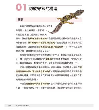 《書》豹紋守宮完全飼養指南：從挑選品系、底材、布置住家、餵食、互動、脫皮、斷尾、繁殖和健康照護全面掌握2