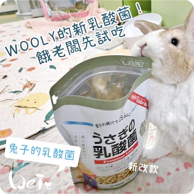 WOOLY 兔子的乳酸菌2