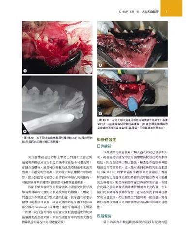《書》犬貓口腔與上頜顏面外科，第二版16