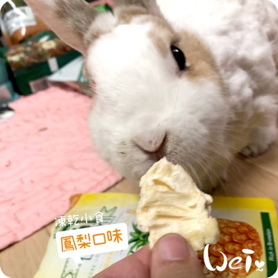 摩米MOMI 水果凍乾9