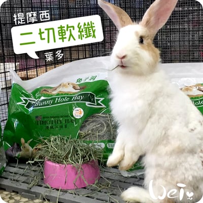 美國Rabbit Hole Hay兔子洞 二切SOFT軟纖葉多提摩西6