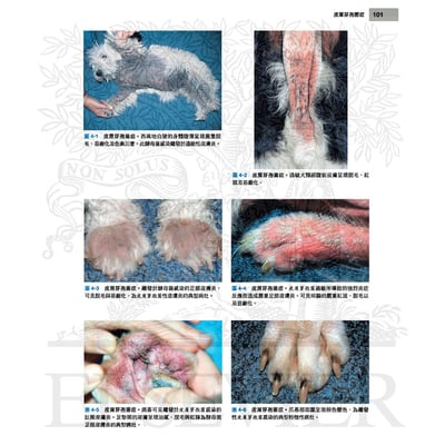 《書》小動物皮膚病學(4版)4