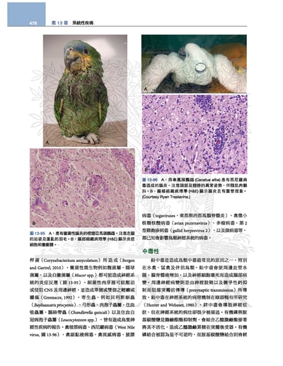 《書》禽鳥類醫學，第三版(現貨)10