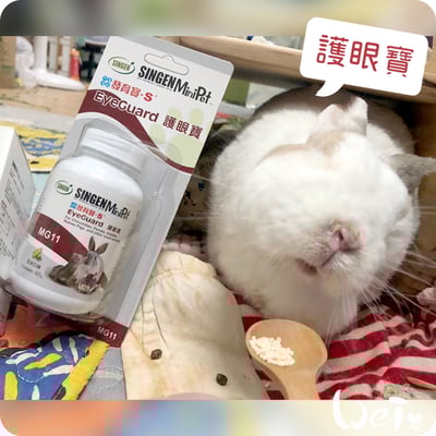 信元發育寶 小寵護眼寶8