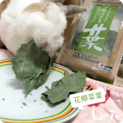 GEX健康食譜 花椰菜葉4