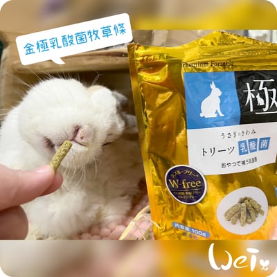 日本 HI-PET 金極乳酸菌牧草條 (KIWAMI極)5