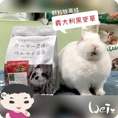 WOOLY義大利黑麥草顆粒牧草條(補助食品)1