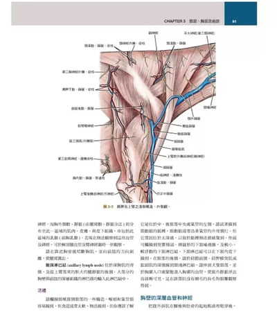 《書》犬解剖指引第八版12