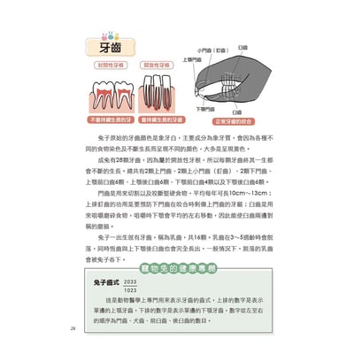 《書》健康養兔子【全新修訂版】：朱哲助院長的疾病預防與照護大公開9