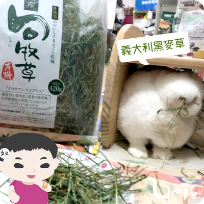 GEX旬牧草 義大利黑麥草2