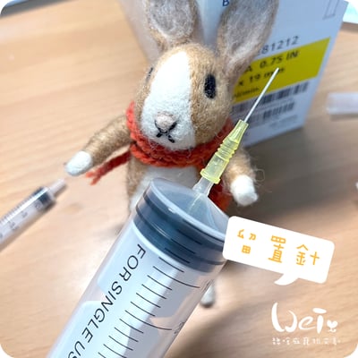 (寵物傷口沖洗用) BD-靜脈留置針 / 軟針 24G 黃色 (純介紹，網路不可販售)3