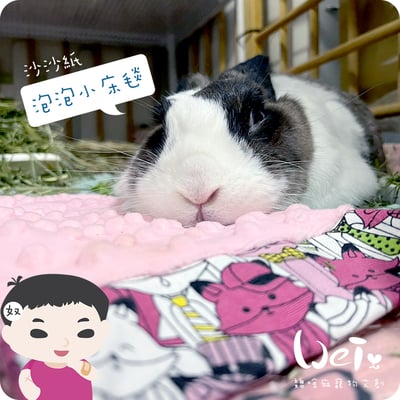 手作 - 泡泡小床毯 (沙沙響紙)16