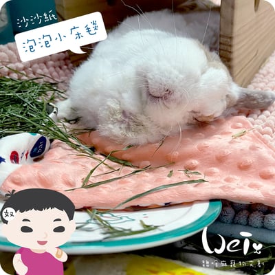 手作 - 泡泡小床毯 (沙沙響紙)20