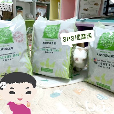 美國SPS寵之選 三切提摩西4