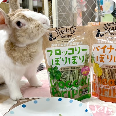 GEX健康食譜 酥脆鳳梨芯10