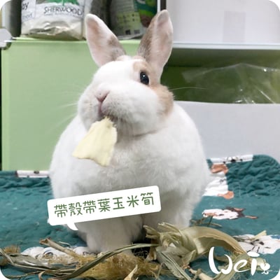 乾燥帶葉帶殼玉米筍4