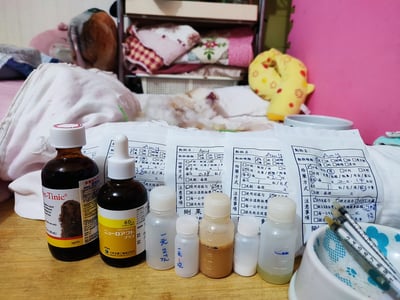 兔子私房住宿 - A米 (永和) - 只收行動不便、半癱 / 癱瘓老兔等特殊照護7