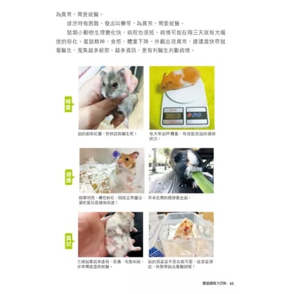 《書》愛鼠飼育大百科：常見寵物鼠品種介紹與飼養相處方法全收錄！(愛鼠協會出版)7