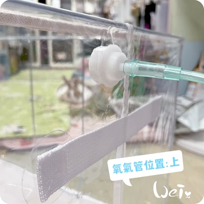 110L折疊全透明寵物氧氣箱-吸氧箱/噴霧箱/霧化箱15