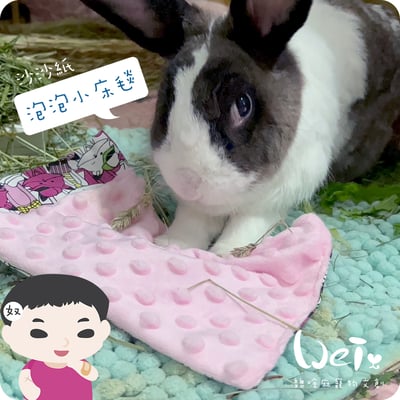 手作 - 泡泡小床毯 (沙沙響紙)2