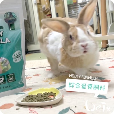 WOOLY FORMULA綜合營養飼料6