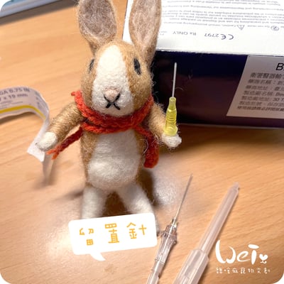 (寵物傷口沖洗用) BD-靜脈留置針 / 軟針 24G 黃色 (純介紹，網路不可販售)2