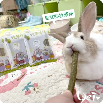 兔女郎點心吧 黑麥草牧草棒棒10