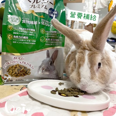 日寵老兔營養補給兔糧(4歲以上)6