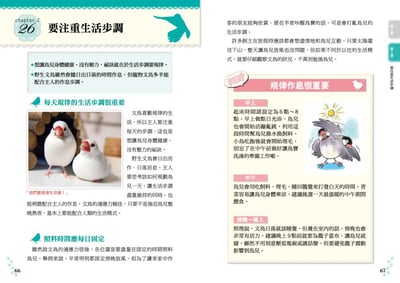 《書》文鳥的幸福飼育指南 もっと知りたい 文鳥のすべて 幸せな飼い方・接し方がわかる本7