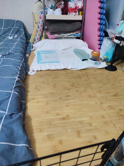 兔子私房住宿 - A米 (永和) - 只收行動不便、半癱 / 癱瘓老兔等特殊照護2