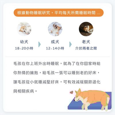 舒服樂 狗狗趴緩解舒適墊/寵物減壓墊 (高齡毛孩、癱瘓、關節行動不便)10