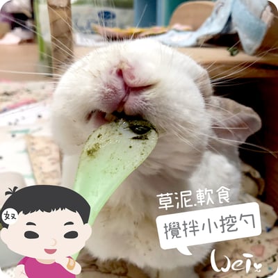 軟食/草泥攪拌小挖勺1