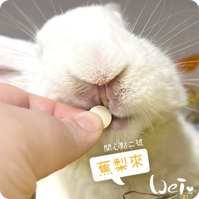 CI兔 Citwo LAB 蕉梨來 (開心點2號)-贈品/試吃索取1