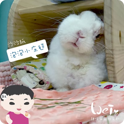 手作 - 泡泡小床毯 (沙沙響紙)12