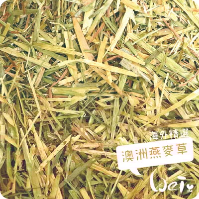 WOOLY海外精選澳洲燕麥草 甜燕麥3