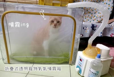 超音波噴霧機/霧化機 配件耗材賣場(噴霧箱、蛇形管蛇管、伸縮噴霧管、兒童面罩)6