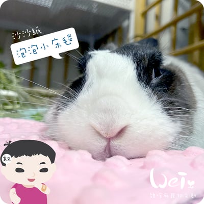 手作 - 泡泡小床毯 (沙沙響紙)15