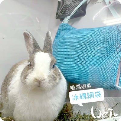 Dometic薄款長效冰磚CI-420G+手作吸濕透氣冰磚網袋3